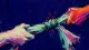 Knot at the Throat Two hands pull a scarf knot tight at the throat, symbolizing the panic of seeing one lease decision,