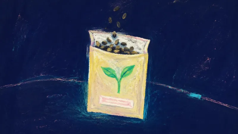 A seed packet reopened and restored to order, expressing a plan shared selectively with clearer t​i