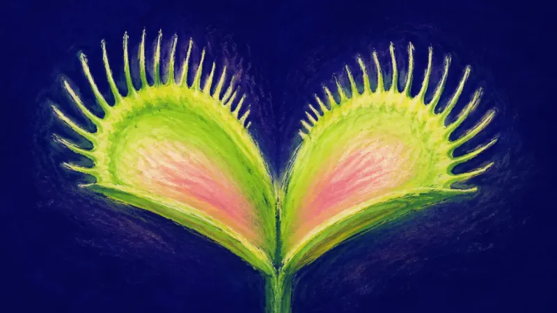 Measured Opening A venus flytrap reopened into a balanced form, expressing steadier communication, self-trust, and