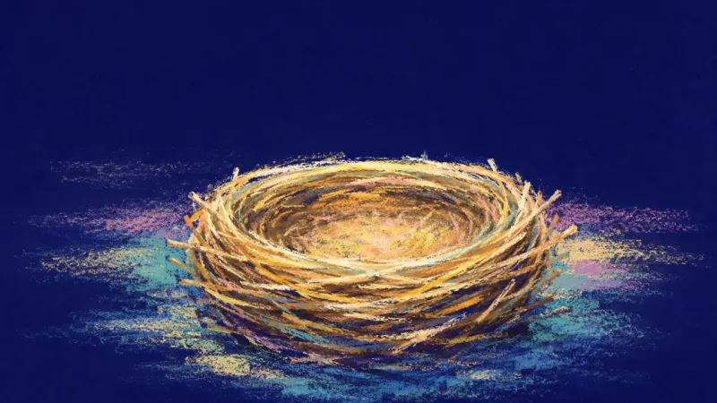Shelter Restored An opened nest regaining its full form, representing self-trust, clear needs, and a steadier sense