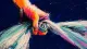 The 12:14 a.m. U Up? Text—And the Night I Stopped Negotiating