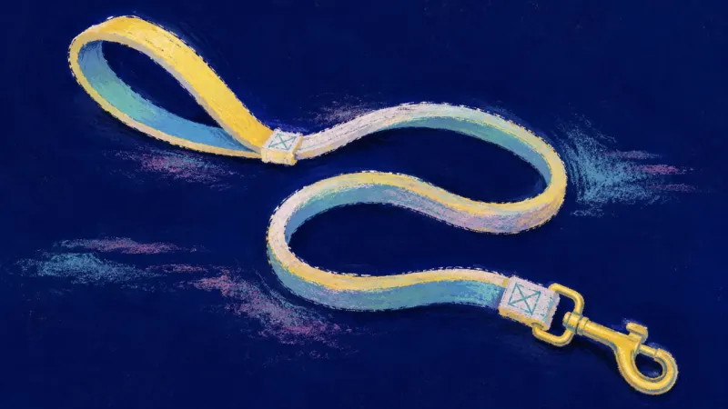 Uncoiled Choice An abstract leash released into balance, representing fair collaboration, clear boundaries, and