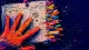 After a Coworker's Promotion: From Slack Spiral to Self-Trust