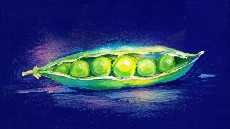 An abstract pea pod opened into calm separate chambers, showing daily backlog handled in small units