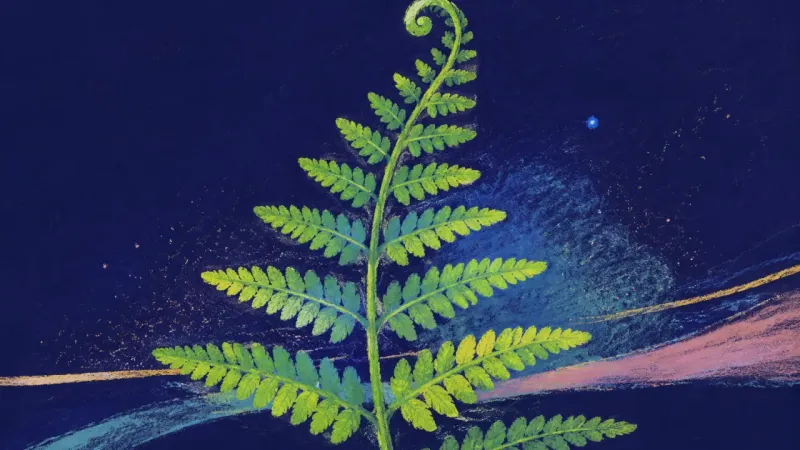 A fully unfurled fern with balanced leaflets, representing self-authored choices restored through a—