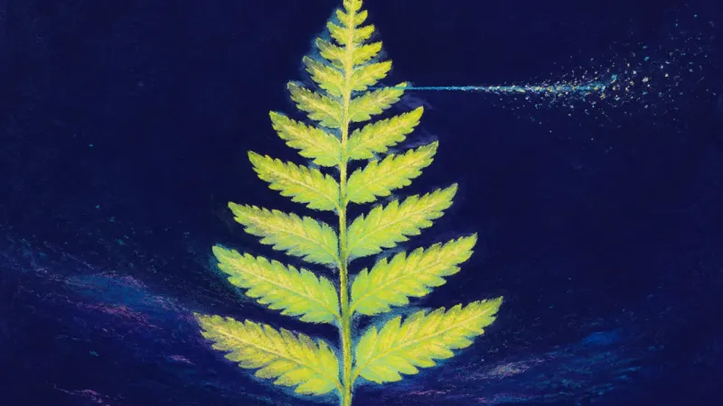 Quiet Unfurling A fully unfurled fern frond represents academic rejection being separated from self-worth as