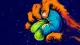 Pressure Without Address A clenched hand ruptures a desk stress ball, symbolizing workplace anger suppressed until it leaks