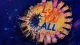Love Under Audit A drink coaster marked 'LOVE YOU ALL' has been gouged and peeled apart, symbolizing the urge to d”“