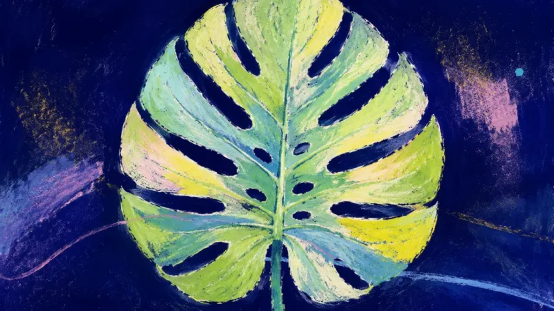 A restored monstera leaf with balanced openings, symbolizing clear boundaries, self-respect, andrecb
