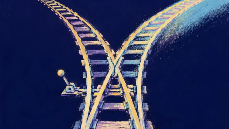 Routes Reclaimed An open railway switch with orderly branching routes, representing degree choices guided by real-e?