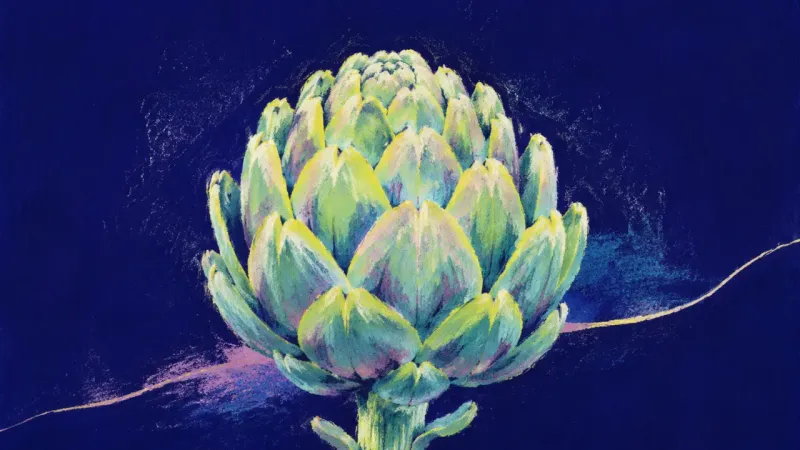 A restored artichoke with evenly opened layers, representing clear family boundaries, balanced nt,