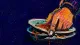 Premature Clearing A tense hand stacks half-eaten dinner plates too early, reflecting shutdown and escape during in