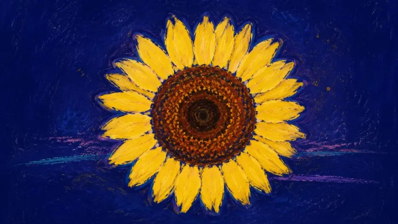 Ownership in Bloom A restored sunflower head in balanced radial order, representing creative visibility reclaimed by B{