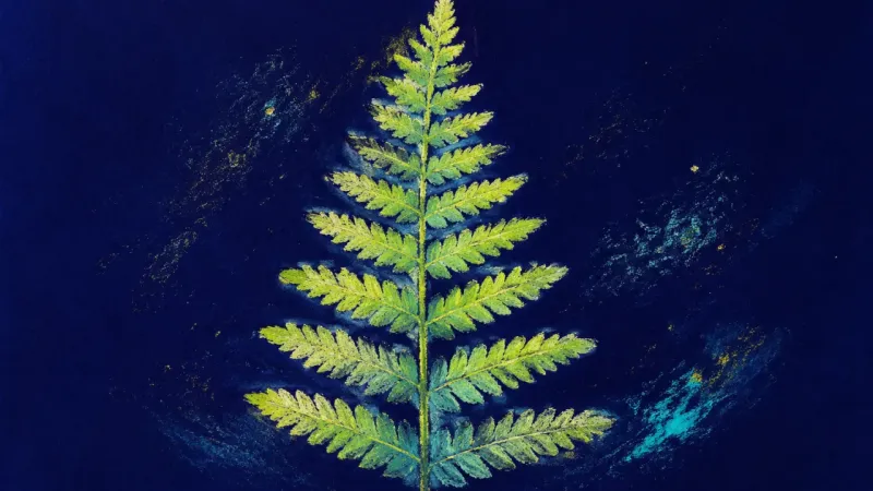 Evidence Unfurls An unfurled fern with ordered leaflets, representing coursework as evidence and renewed confidence—g