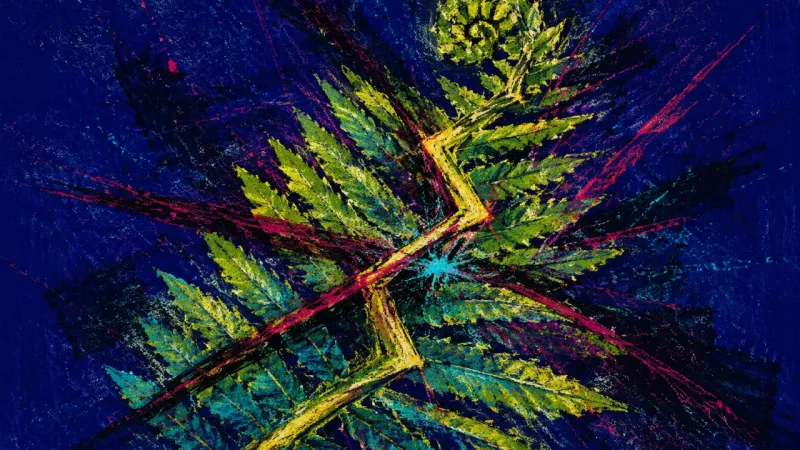 Frond Under Pressure A crushed fern frond bound by chaotic lines, representing launch paralysis when external deadlines