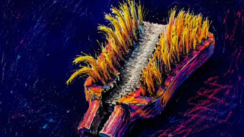 An overused scrub brush worn into a deep central channel, symbolising the hidden domestic labour 