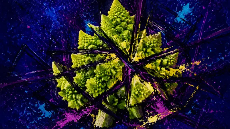 Spirals Under Pressure A deformed romanesco trapped in conflicting spirals, representing longing distorted by overanalysis