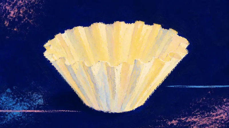 Order Through Evidence A restored coffee filter with evenly opened pleats, representing choice paralysis resolved throughp[