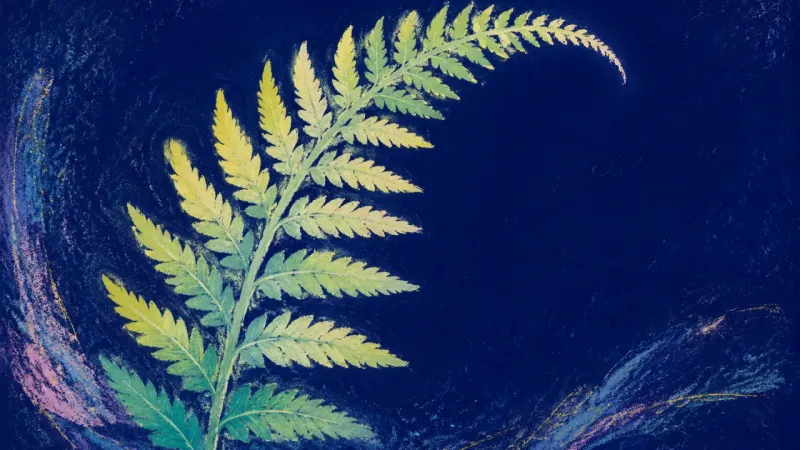 Belonging Unfurls An unfurled fern frond in balanced order, representing present-tense care and grounded belonging���