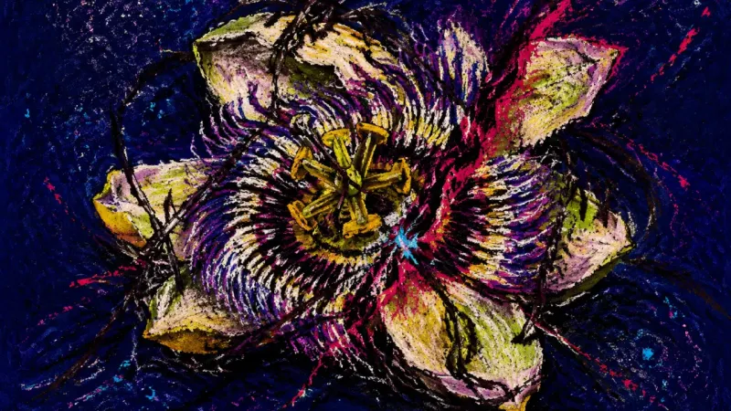 Visibility Folded In A passionflower crushed into a tangled radial knot, representing anticipatory shame and the pressure