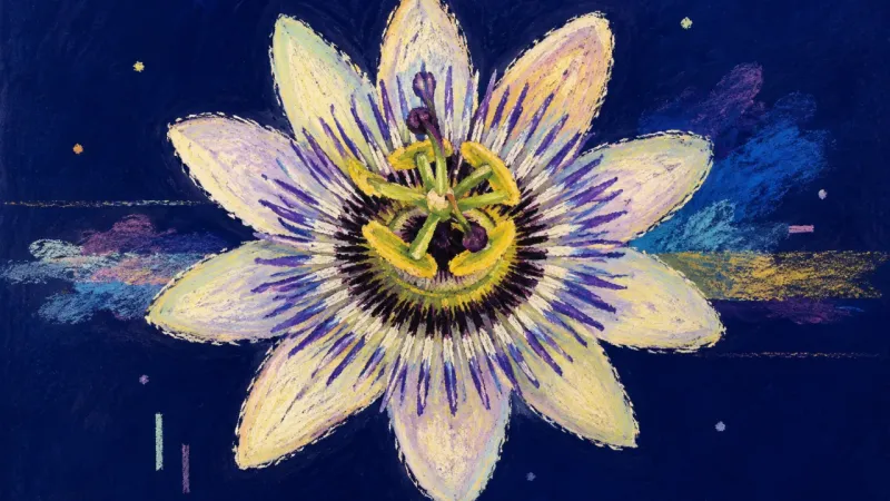 Visibility Restored An open, orderly passionflower represents creative visibility restored through bounded sharing and a