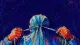 A faceless figure pulls a hood tightly closed, symbolizing withdrawal beneath roles accepted without