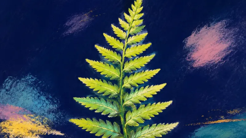 Order Unfurled An unfurled fern frond in balanced order, representing advisor email perfectionism resolved through-