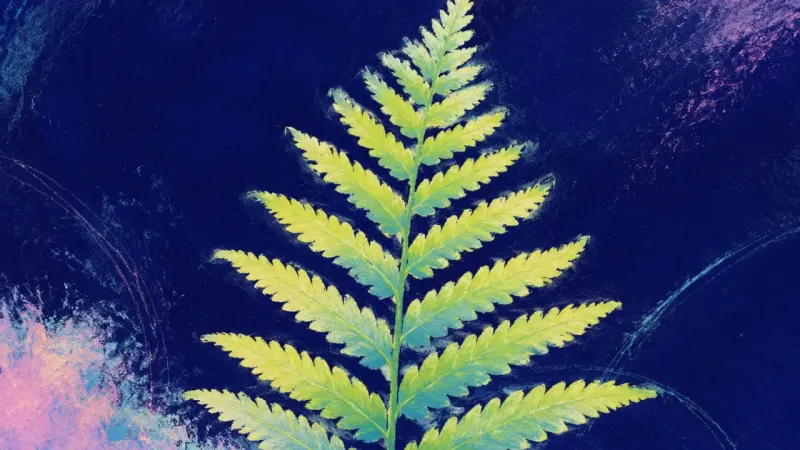 Unfurling Self-Trust An abstract fern opening into balanced fronds, representing a bounded retry that turns fear of being