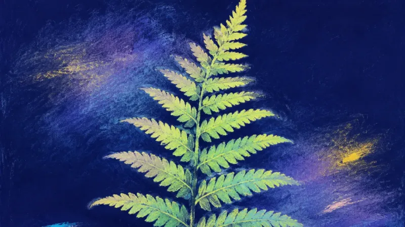 An unfurled fern in balanced order, representing career choice paralysis easing into a reviewable un