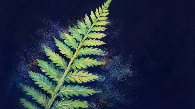 Measured Unfurling An unfurled fern frond with orderly leaflets, symbolizing career anxiety resolved through bounded*?*