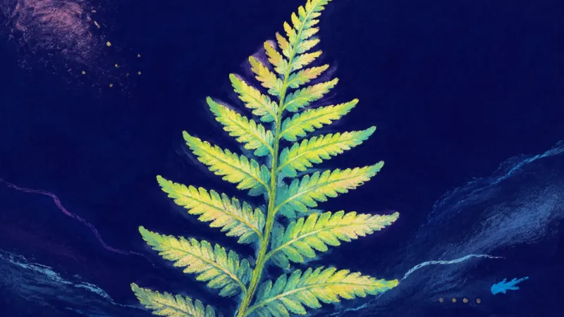 A fully unfurled fern frond in balanced order, representing thesis perfectionism giving way to rough