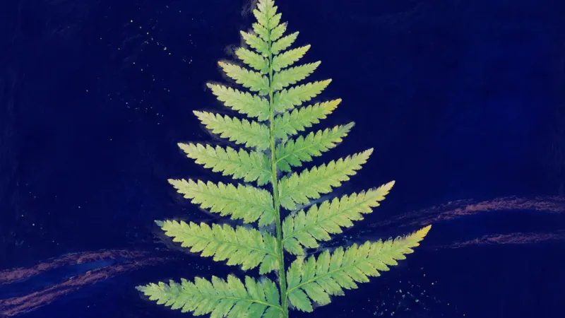 A fully unfurled fern with evenly spaced leaflets, representing measured pace, clear choice, and the