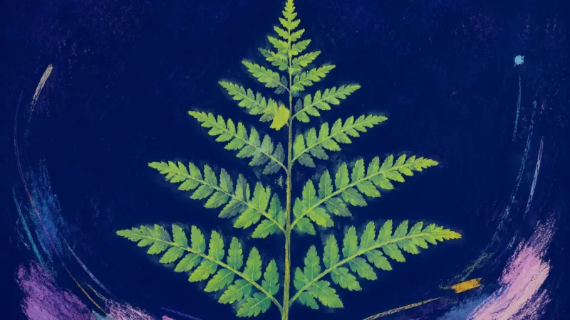 Discernment Unfurled An unfurled fern with ordered fronds, representing career red flags met with evidence, measured pur