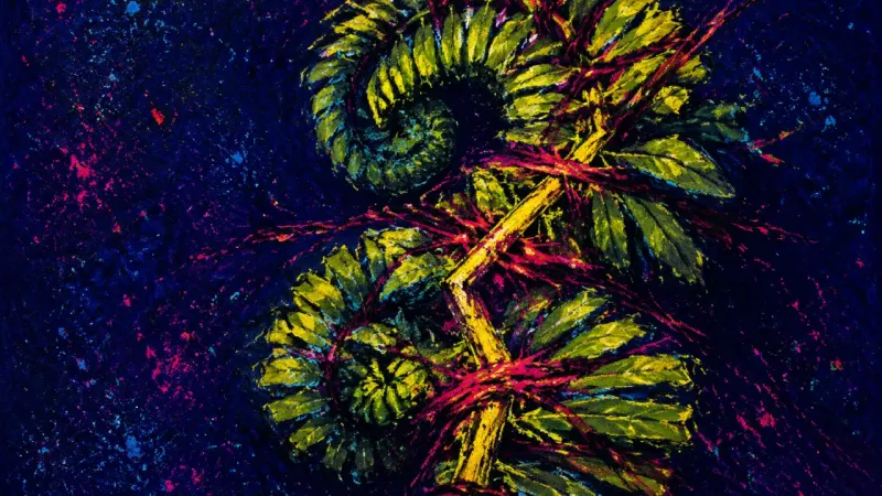 Frond Under Siege A tightly coiled fern frond tangled by harsh lines, representing urgency that suppresses reflection