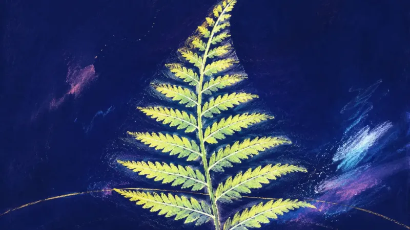 Rhythm Restored An unfurled fern frond in balanced order, representing a measured response and renewed self-trust as