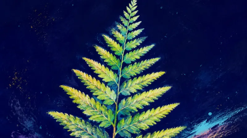 Practice Unfurls A fully unfurled fern with orderly leaflets, representing patient practice, restored learning agency