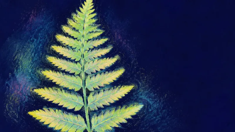 Rhythm Restored A fully unfurled fern frond with ordered leaflets, representing grounded self-trust within a clear,