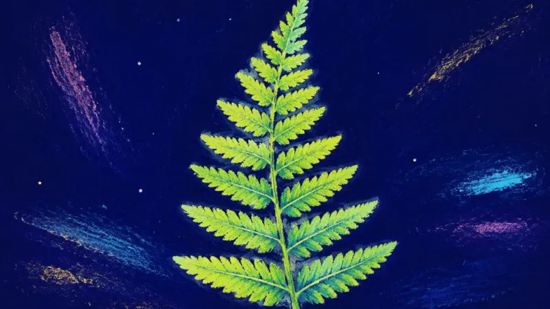 Authorship Unfurled A fully unfurled fern frond represents clear authorship, balanced feedback, and the return ofFrom