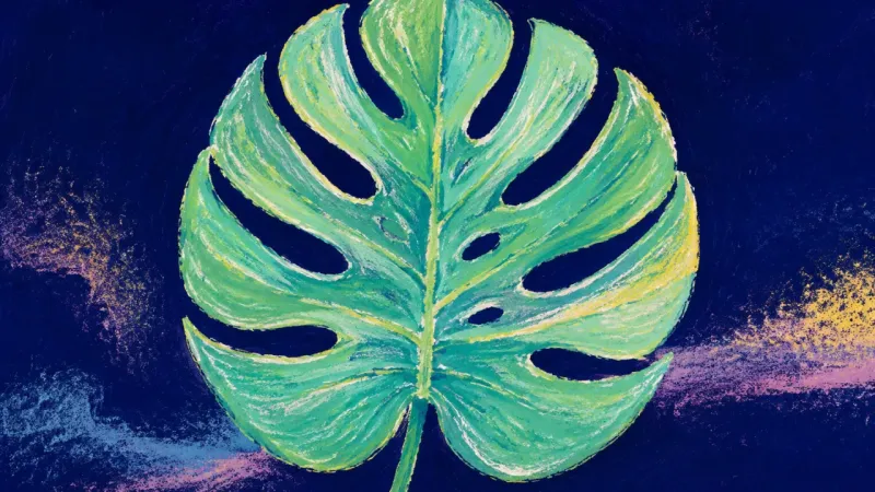 Presence Unfurled An unfurled monstera leaf in balanced order, representing restored self-respect, equal participation