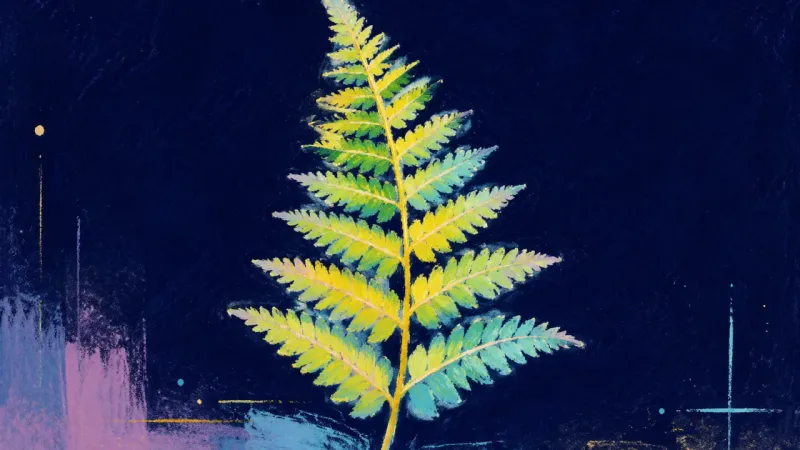 Practice Unfurls A fully unfurled fern frond represents revision anxiety resolving into balanced judgment, visible´?