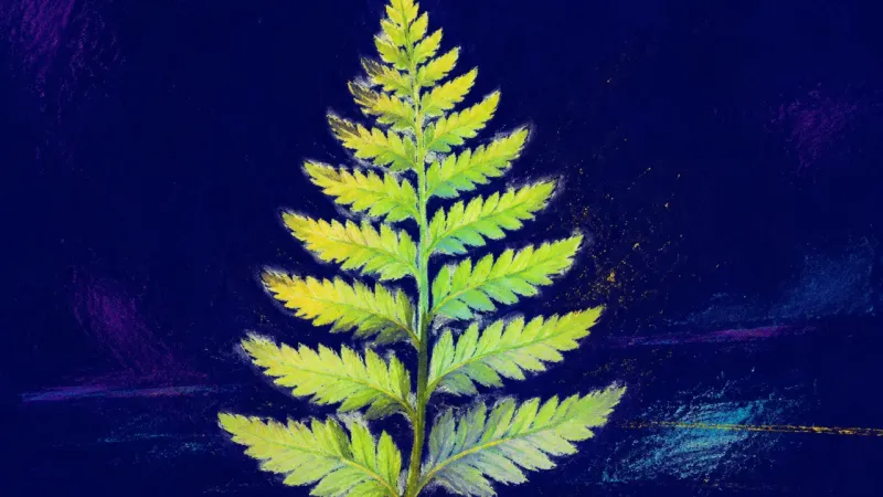 Practice Unfurls An unfurled fern with balanced repeating leaves, representing study confidence restored throughat