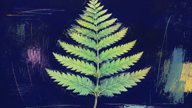 Reciprocity Unfurled An unfurled fern frond with orderly leaflets, representing release from relationship limbo and anrly
