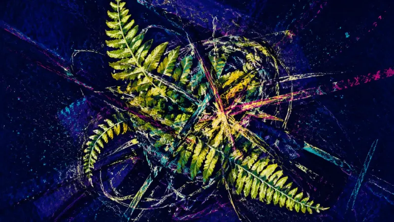 Practice Folded Inward A tightly folded fern bound by chaotic lines, representing study paralysis caused by endless method