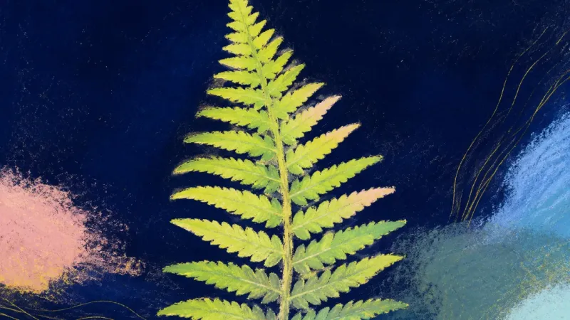 Rhythm Restored A fully unfurled fern frond with orderly leaflets, representing academic procrastination resolved by