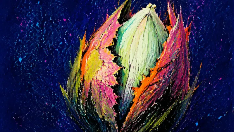 An unopened flower bud with its outer layers forcibly split around a sealed center, symbolizing the 