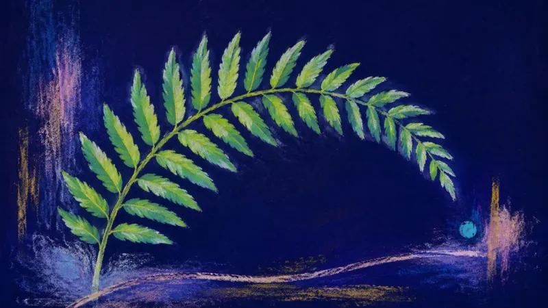 Measured Unfurling A fully unfurled fern frond with an even repeating structure, representing patient learning restored
