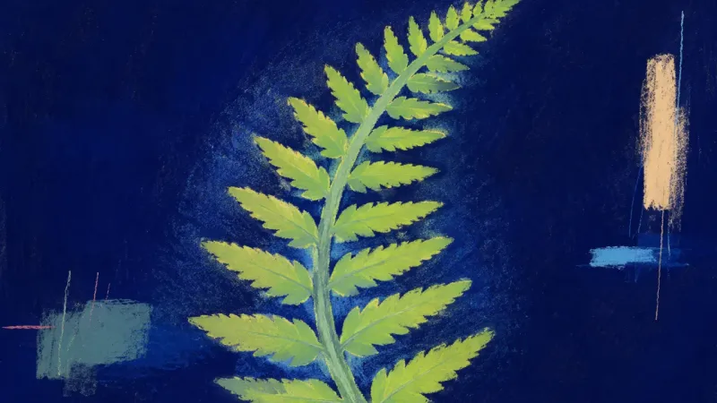 Curiosity Unfurls An unfurled fern frond returns to an orderly rhythm, representing procrastination eased through</s>