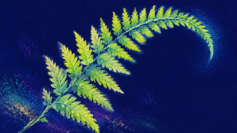 Order in Unfolding An unfurled fern frond with balanced leaflets, representing career uncertainty resolved into agency,