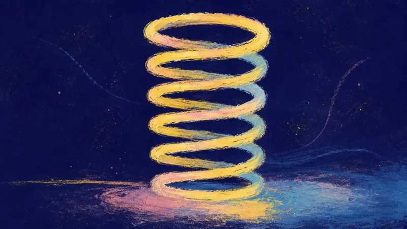 An abstract spring restored to an even open form, representing participation and self-trust growing2