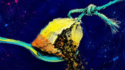 Oversharing With New Friends: Letting Trust Grow Through Layers